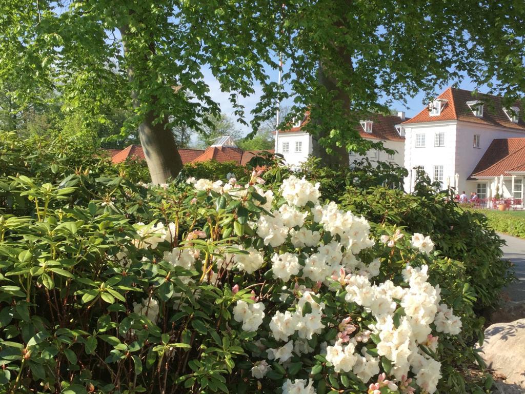 Rungstedgaard Hotel Bagian luar foto